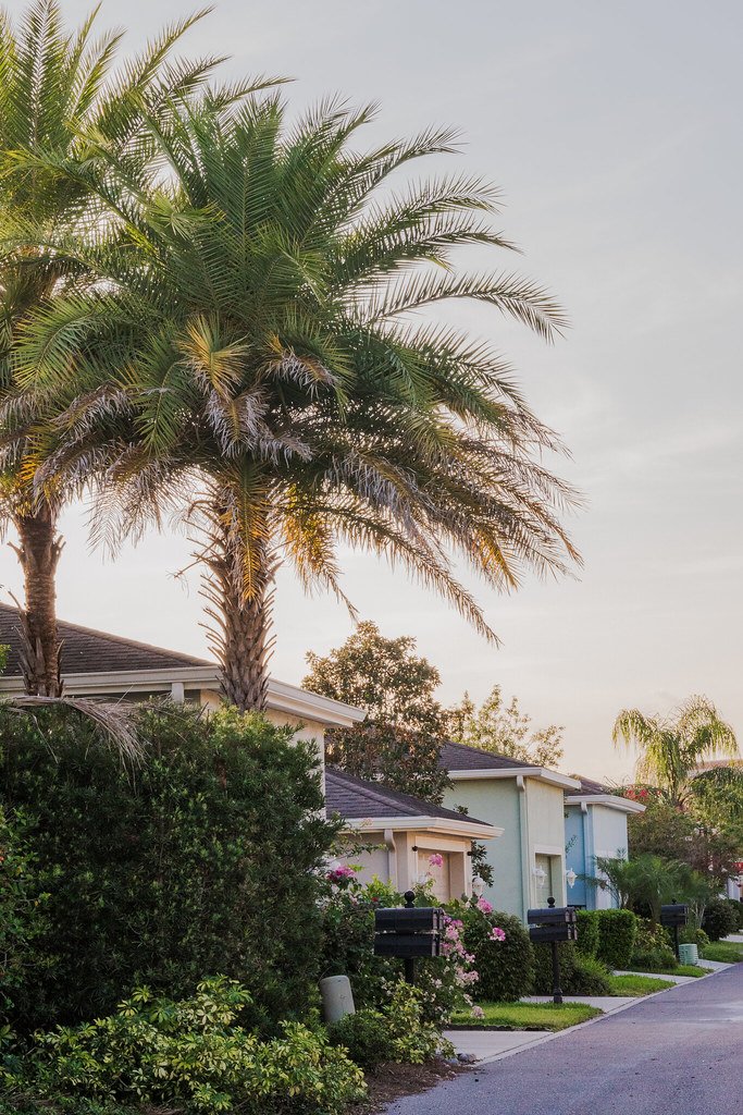 Apartments & Homes